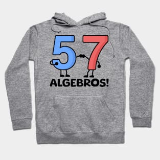 Algebros! Funny Math Puns Hoodie